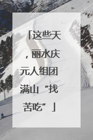 这些天，丽水庆元人组团满山“找苦吃”