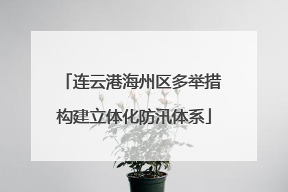 连云港海州区多举措构建立体化防汛体系