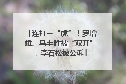 连打三“虎”！罗增斌、马丰胜被“双开”，李石松被公诉