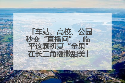 车站、高校、公园秒变“直播间”，临平这颗初夏“金果”在长三角播撒甜美