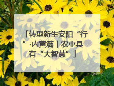 转型新生安阳“行”·内黄篇丨农业县有“大智慧”
