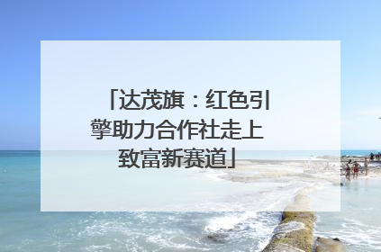 达茂旗：红色引擎助力合作社走上致富新赛道