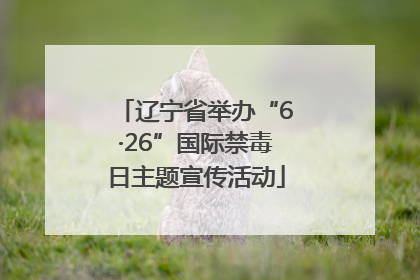 辽宁省举办“6·26”国际禁毒日主题宣传活动