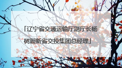 辽宁省交通运输厅副厅长杨树履新省交投集团总经理