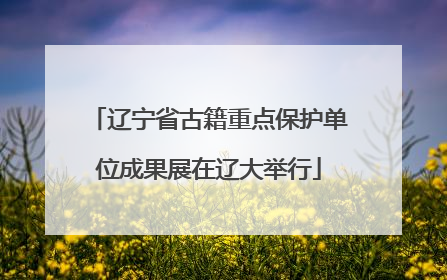 辽宁省古籍重点保护单位成果展在辽大举行