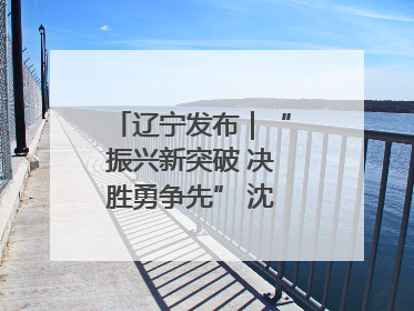 辽宁发布｜“振兴新突破 决胜勇争先” 沈阳这么干！