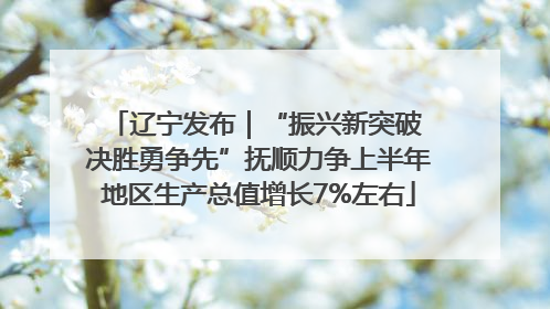 辽宁发布｜“振兴新突破 决胜勇争先”抚顺力争上半年地区生产总值增长7%左右