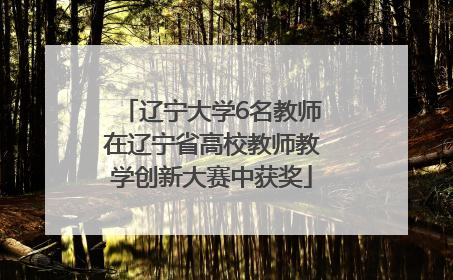 辽宁大学6名教师在辽宁省高校教师教学创新大赛中获奖