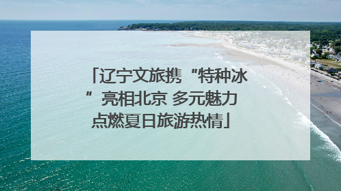 辽宁文旅携“特种冰”亮相北京 多元魅力点燃夏日旅游热情