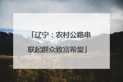 辽宁：农村公路串联起群众致富希望