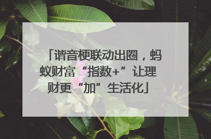 谐音梗联动出圈，蚂蚁财富“指数+”让理财更“加”生活化