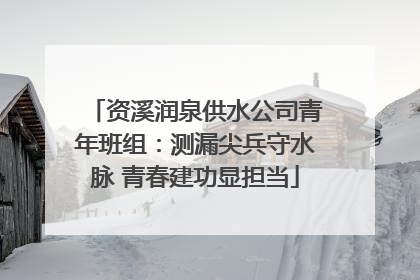 资溪润泉供水公司青年班组：测漏尖兵守水脉 青春建功显担当