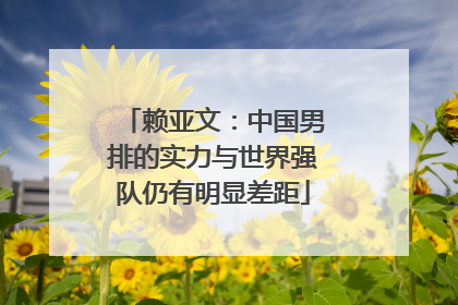 赖亚文：中国男排的实力与世界强队仍有明显差距