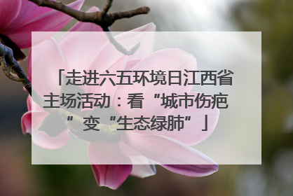 走进六五环境日江西省主场活动：看“城市伤疤”变“生态绿肺”