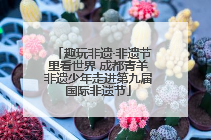 趣玩非遗·非遗节里看世界 成都青羊非遗少年走进第九届国际非遗节