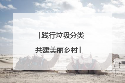 践行垃圾分类 共建美丽乡村