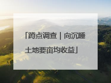 蹲点调查｜向沉睡土地要亩均收益
