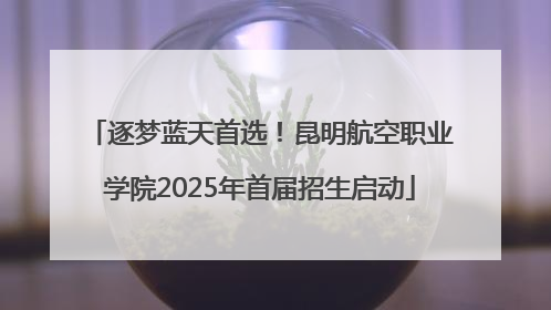 逐梦蓝天首选！昆明航空职业学院2025年首届招生启动