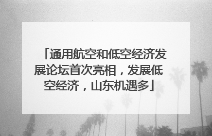 通用航空和低空经济发展论坛首次亮相，发展低空经济，山东机遇多