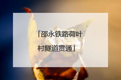 邵永铁路荷叶村隧道贯通