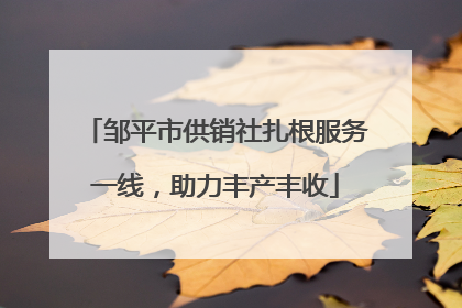 邹平市供销社扎根服务一线，助力丰产丰收