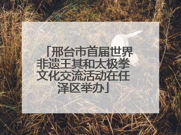 邢台市首届世界非遗王其和太极拳文化交流活动在任泽区举办