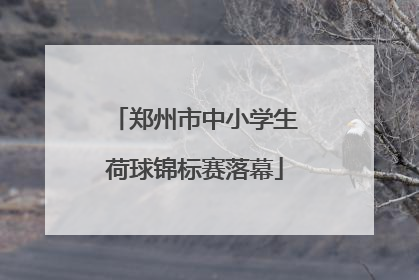 郑州市中小学生荷球锦标赛落幕
