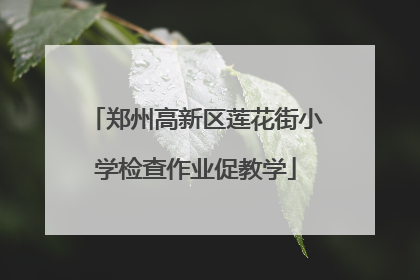 郑州高新区莲花街小学检查作业促教学