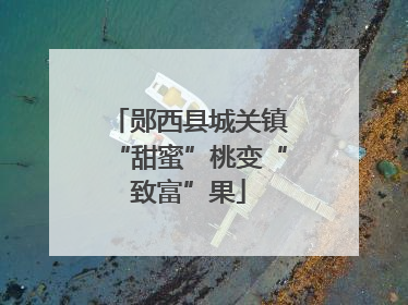 郧西县城关镇“甜蜜”桃变“致富”果