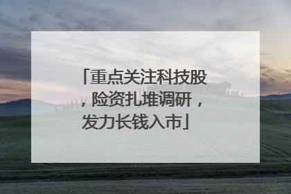 重点关注科技股，险资扎堆调研，发力长钱入市