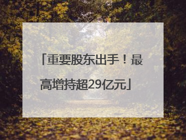 重要股东出手！最高增持超29亿元