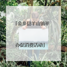 金乡县羊山镇举办促消费活动
