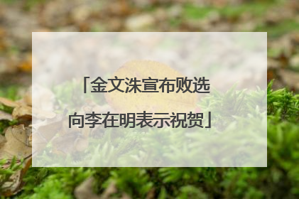金文洙宣布败选 向李在明表示祝贺