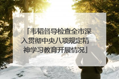 韦韬督导检查全市深入贯彻中央八项规定精神学习教育开展情况