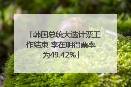 韩国总统大选计票工作结束 李在明得票率为49.42%