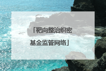 靶向整治织密基金监管网络