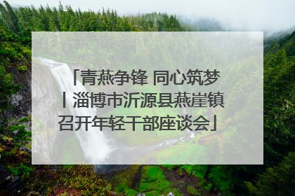 青燕争锋 同心筑梦丨淄博市沂源县燕崖镇召开年轻干部座谈会