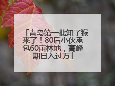 青岛第一批知了猴来了！80后小伙承包60亩林地，高峰期日入过万