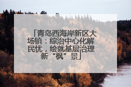 青岛西海岸新区大场镇：综治中心化解民忧，绘就基层治理新“枫”景