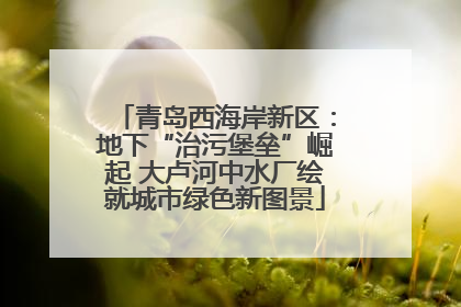 青岛西海岸新区：地下“治污堡垒”崛起 大卢河中水厂绘就城市绿色新图景