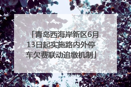 青岛西海岸新区6月13日起实施路内外停车欠费联动追缴机制