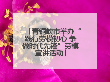 青铜峡市举办“践行劳模初心 争做时代先锋”劳模宣讲活动