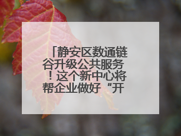 静安区数通链谷升级公共服务！这个新中心将帮企业做好“开门四件事”
