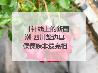 针线上的新国潮 四川盐边县傈僳族非遗亮相西博会｜图集