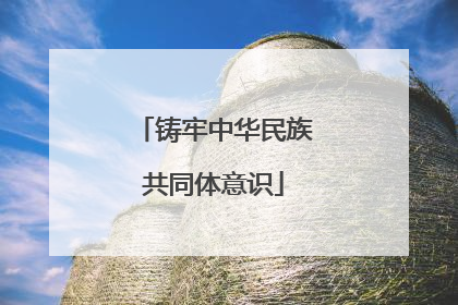 铸牢中华民族共同体意识