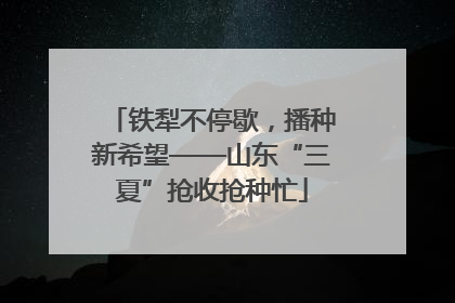 铁犁不停歇，播种新希望——山东“三夏”抢收抢种忙