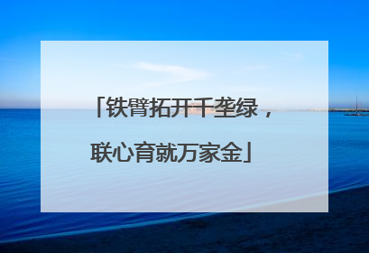 铁臂拓开千垄绿，联心育就万家金
