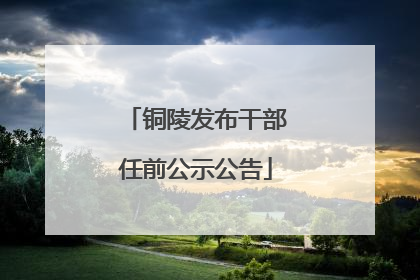 铜陵发布干部任前公示公告