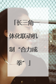 长三角一体化联动机制“合力成拳”