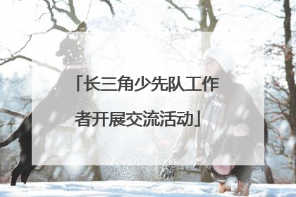 长三角少先队工作者开展交流活动